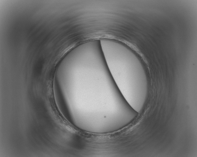 X0000066930889200604141955