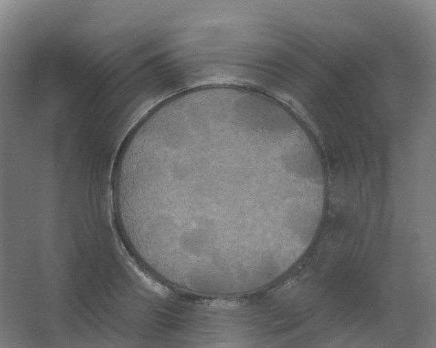 X0000066930890200604141955