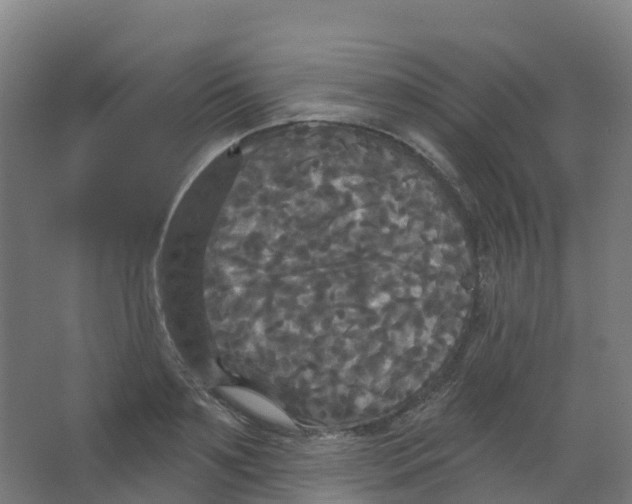 X0000066930891200604141955