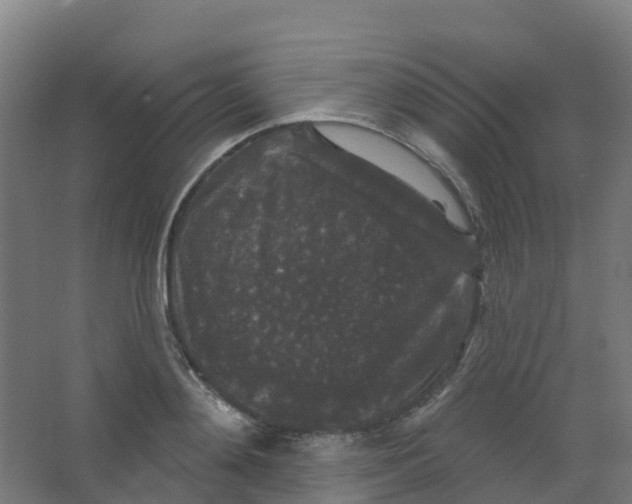 X0000066930892200604141955