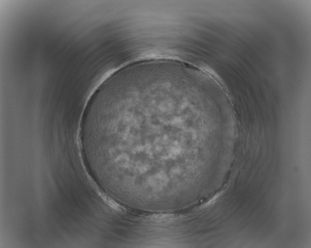 X0000066930893200604141955