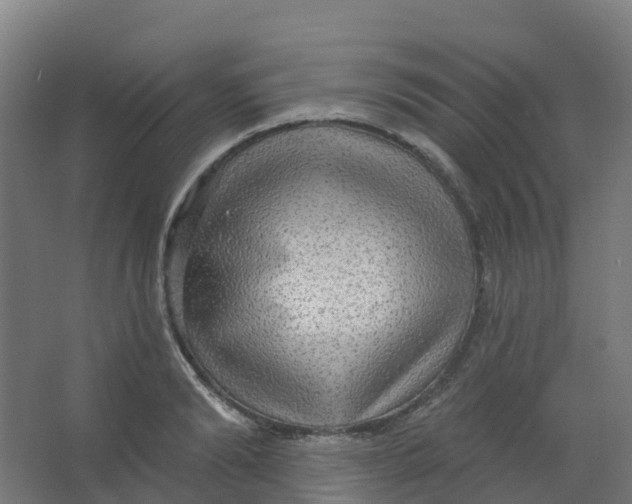 X0000066930894200604141955