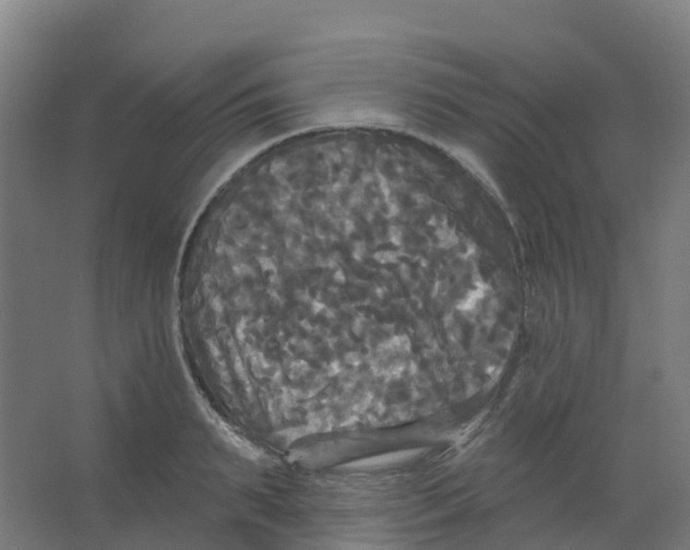 X0000066930895200604141955