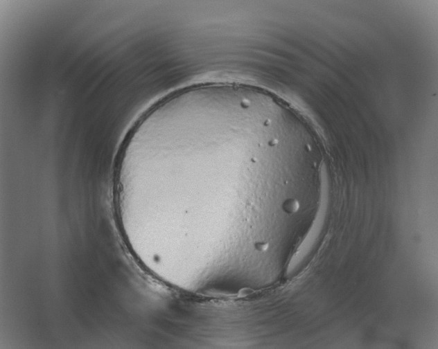 X0000066930896200604141955