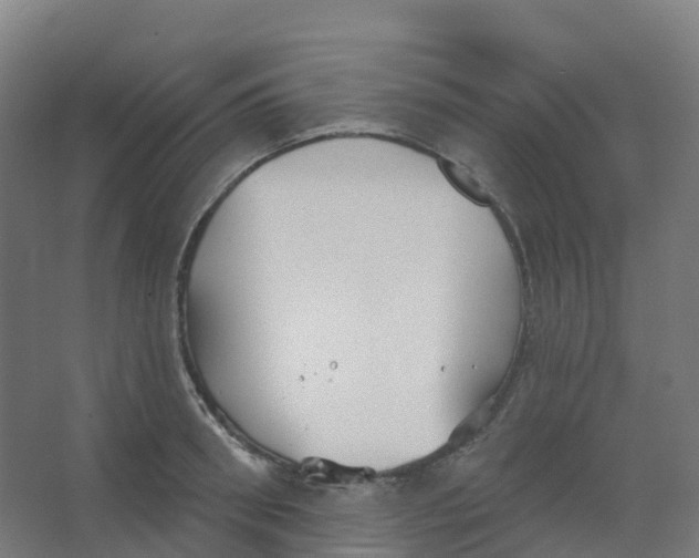 X0000066930898200604141955