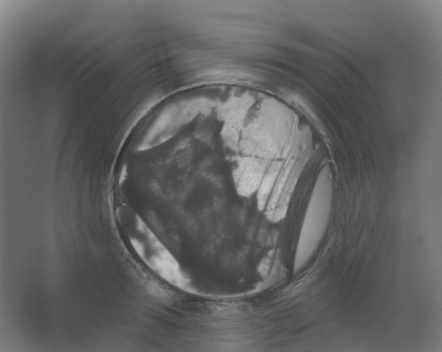 X0000066930899200604141955