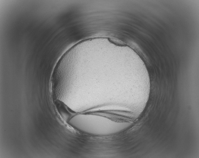 X0000066930900200604141955