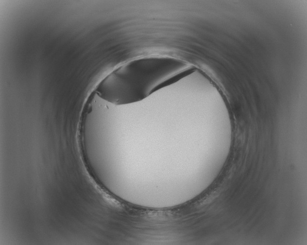 X0000066930901200604141955