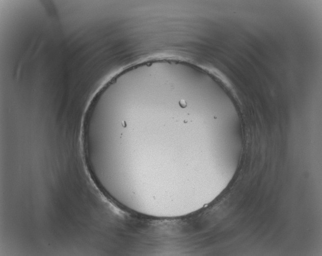 X0000066930902200604141955