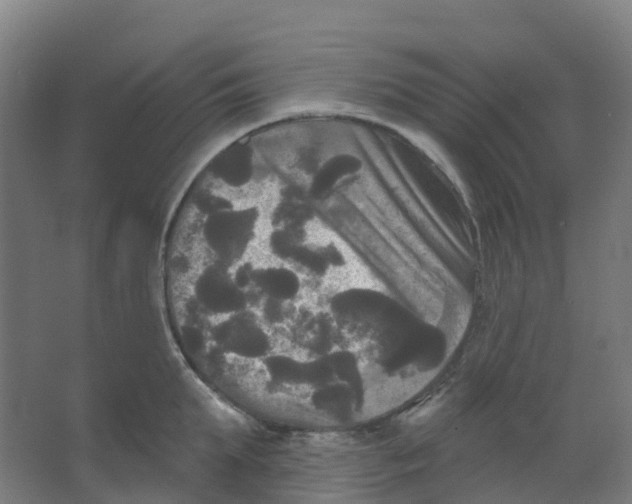 X0000066930903200604141954