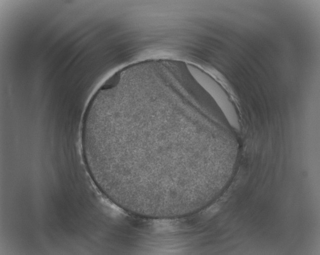 X0000066930904200604141954