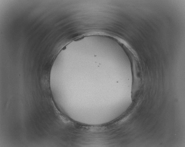 X0000066930905200604141954