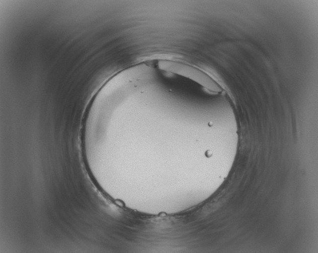 X0000066930906200604141954