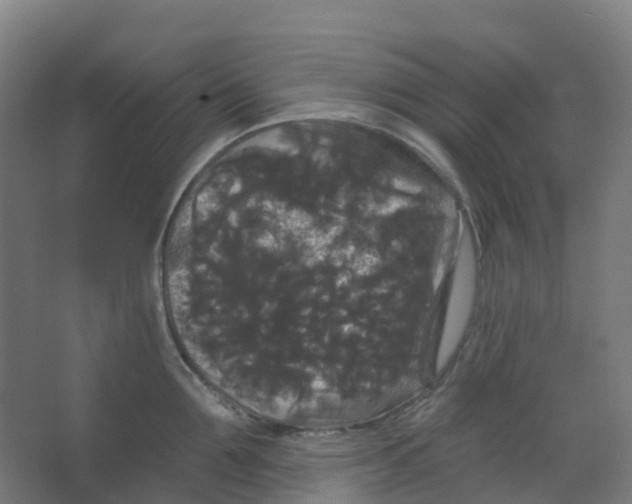 X0000066930907200604141954