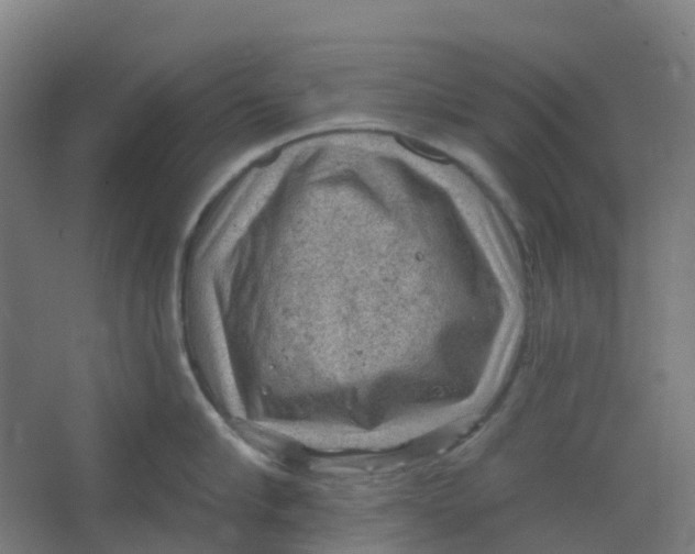 X0000066930910200604141954