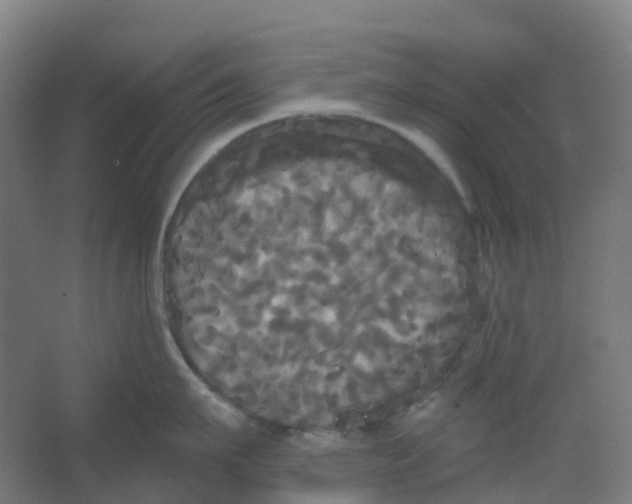 X0000066930911200604141954