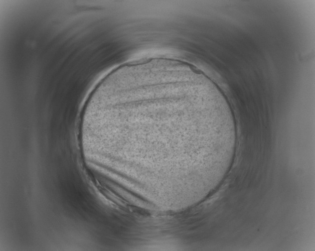 X0000066930912200604141954