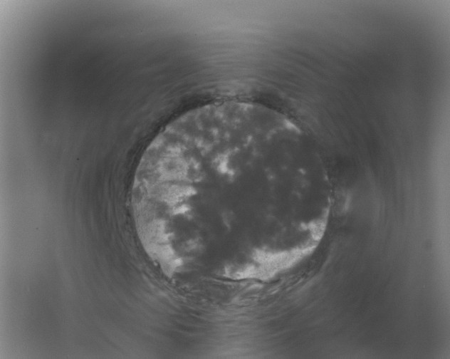 X0000066930913200604141954