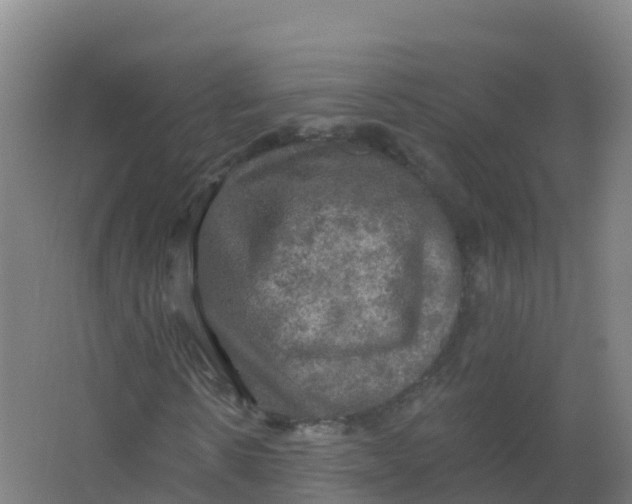 X0000066930914200604141954