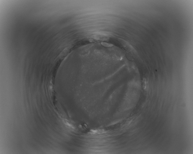 X0000066930915200604141954