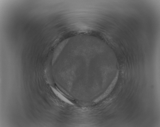 X0000066930916200604141954