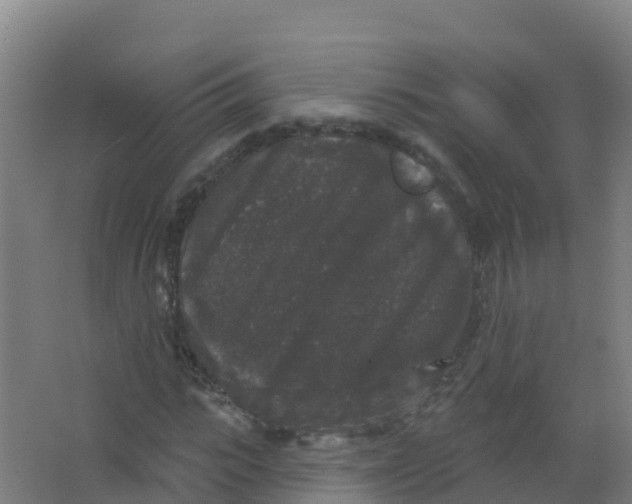 X0000066930919200604141954