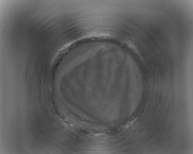 X0000066930920200604141954