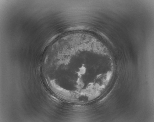 X0000066930921200604141954