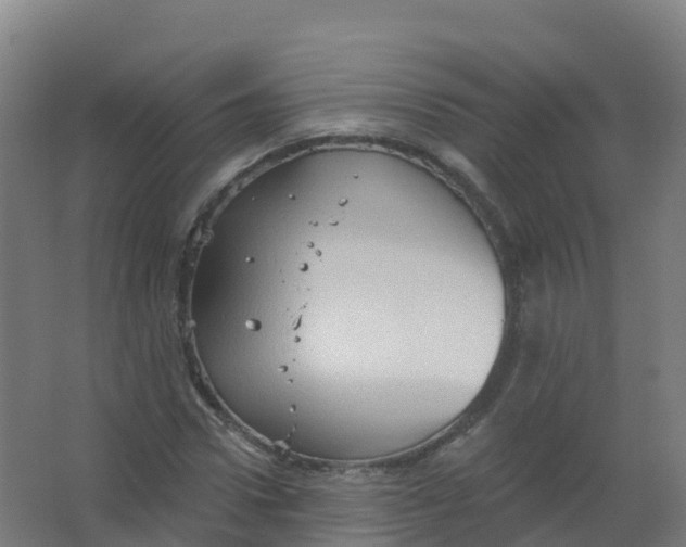 X0000066930922200604141954