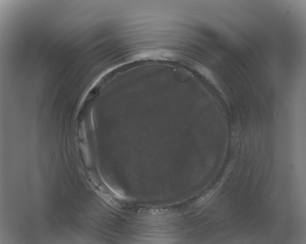 X0000066930923200604141954