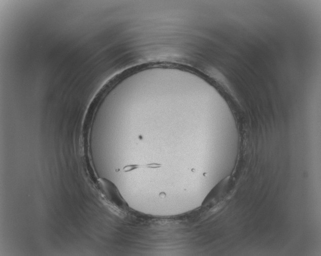 X0000066930924200604141954