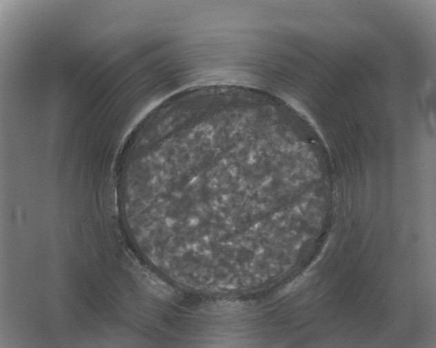 X0000066930925200604141954