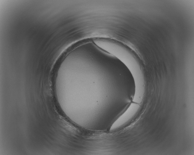 X0000066930926200604141954