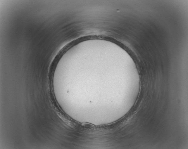 X0000066930927200604141954