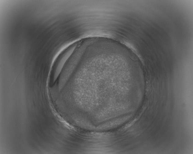 X0000066930928200604141954