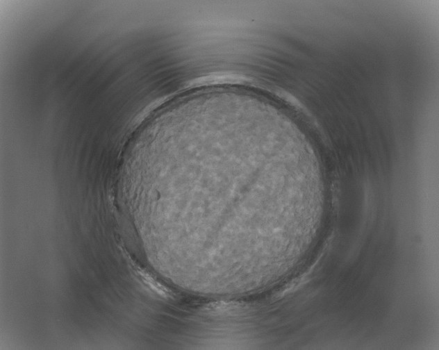 X0000066930929200604141954