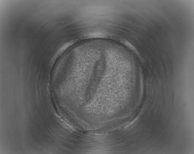 X0000066930930200604141954