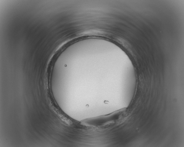 X0000066930931200604141954