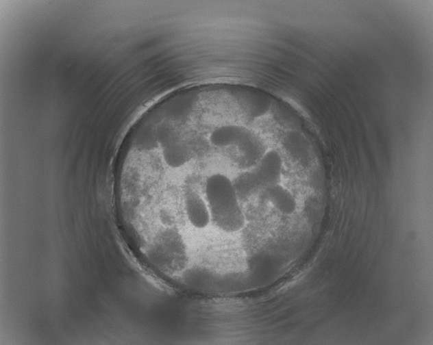 X0000066930933200604141954