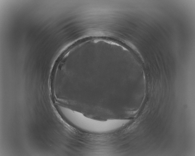 X0000066930935200604141954