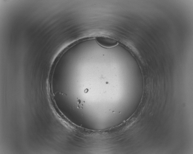 X0000066930936200604141954