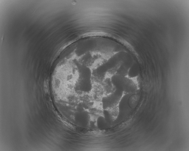 X0000066930937200604141954