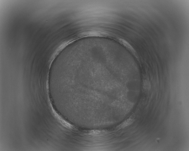 X0000066930938200604141954