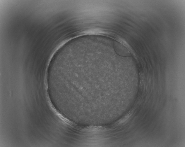 X0000066930939200604141954