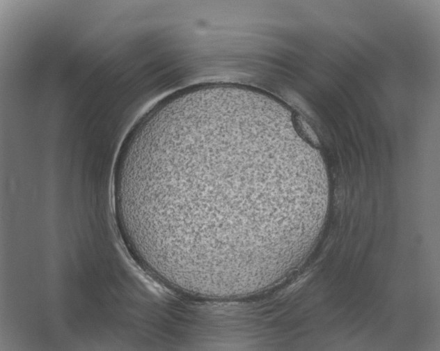 X0000066930940200604141954