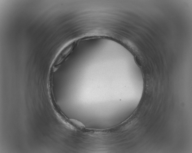 X0000066930942200604141954