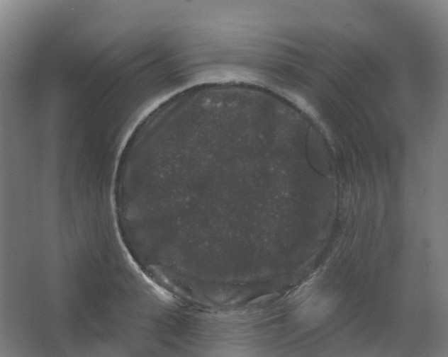 X0000066930943200604141954