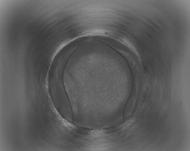 X0000066930944200604141954