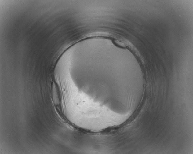 X0000066930945200604141954