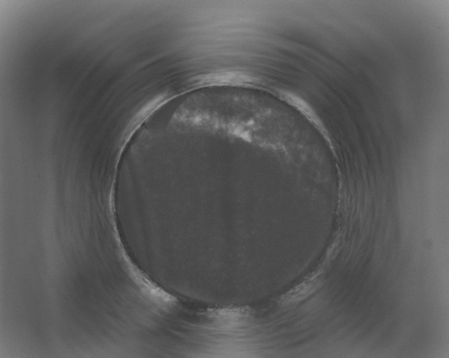 X0000066930946200604141954